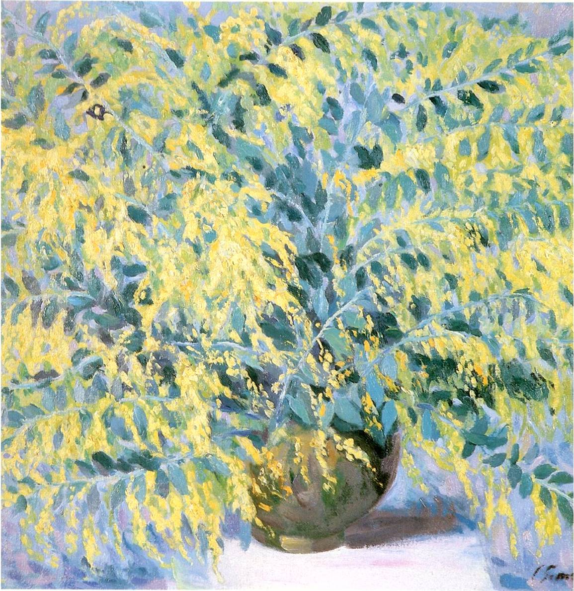 Bouquet Mimosa